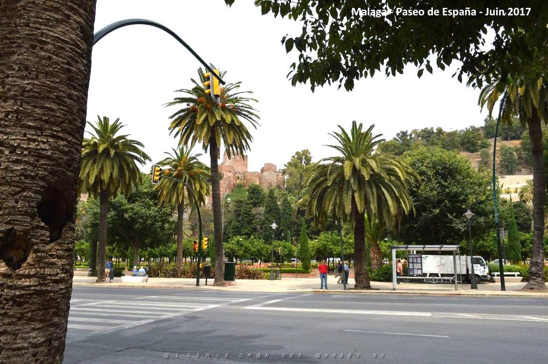 238- Malaga paseo de Espana.JPG